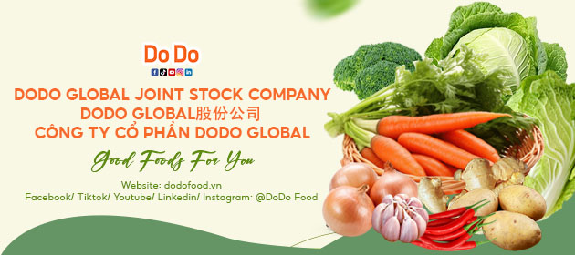 Banner giới thiệu DoDo Food — công ty và sản phẩm thật